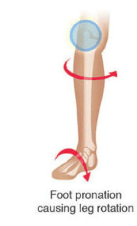 Knee pain and exercise myths and facts