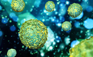 Bone-Marrow-Concentrate-scaled