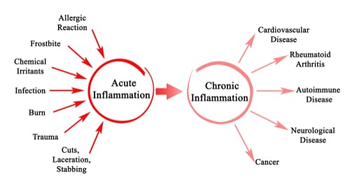 Acute Inflammation vs Chronic Inflammation